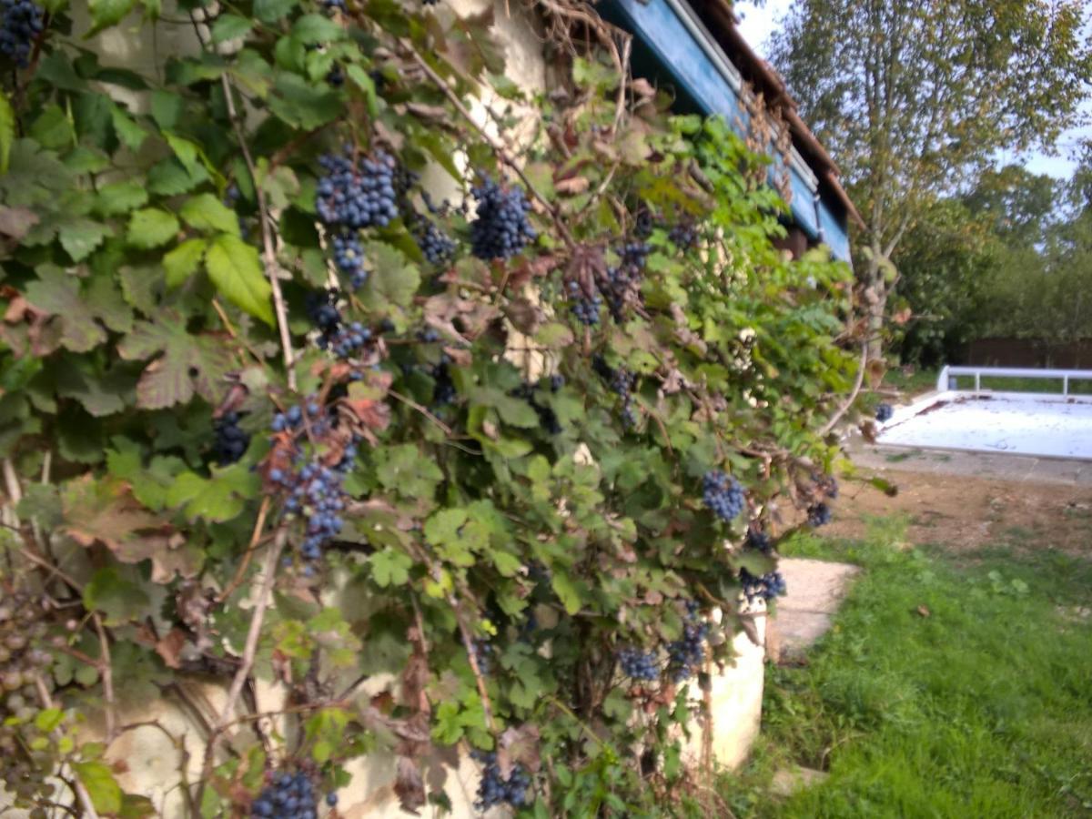 Nicely Renovated Wine-Grower House Fargues-Saint-Hilaire Exteriér fotografie